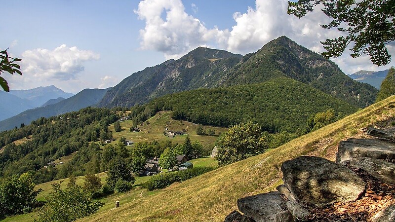 Карта