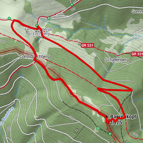 Lochberg Farm Inn Route - Walk accompanied by centenary beeches