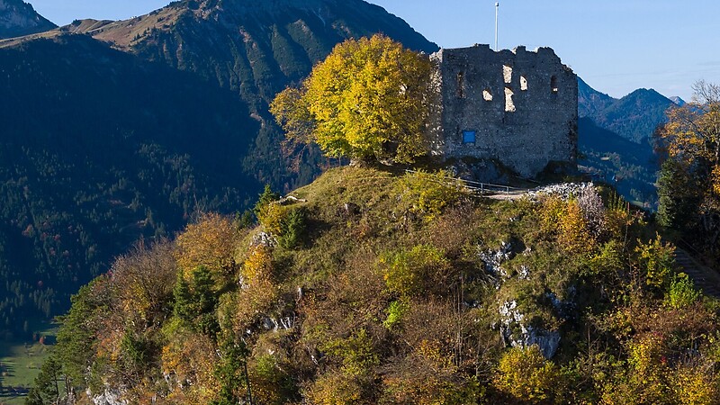 Карта