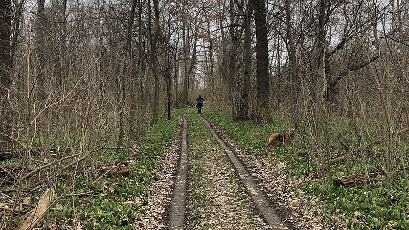 Карта