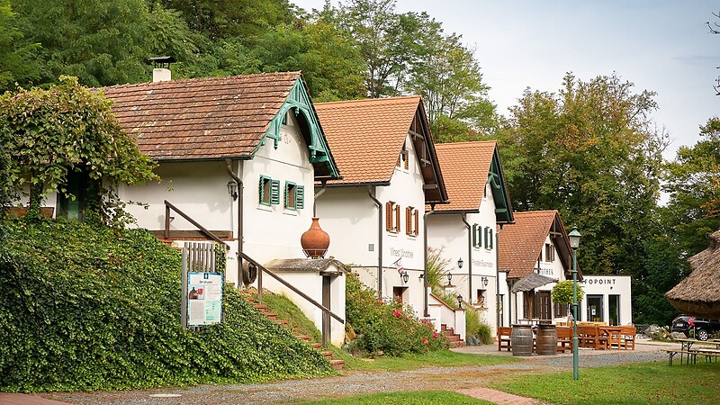 Карта