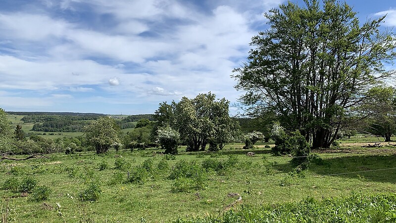 Карта