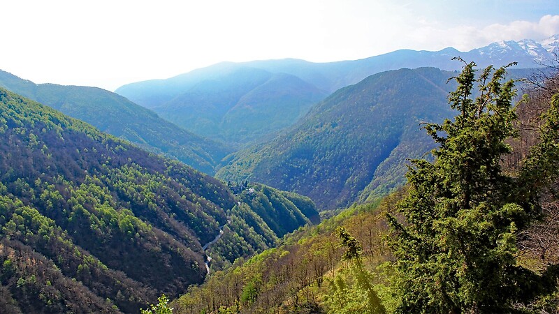 Карта