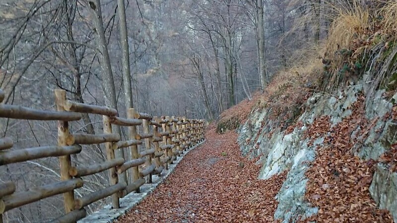 Карта