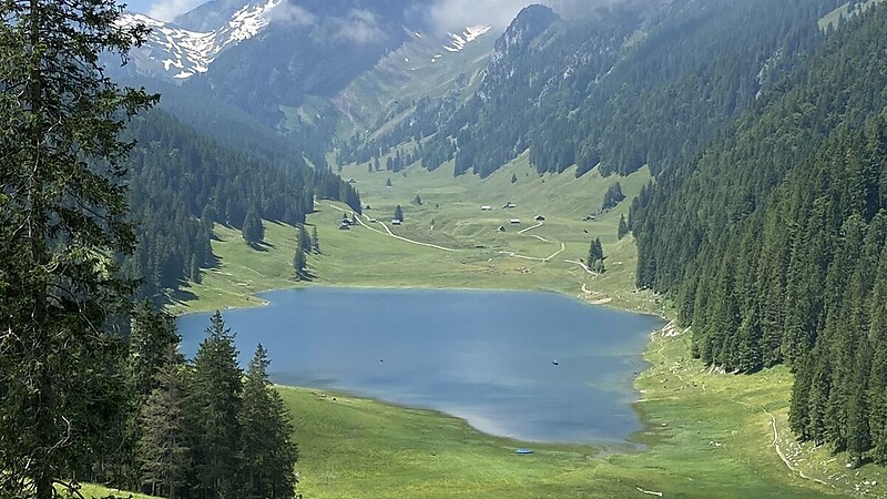 Карта