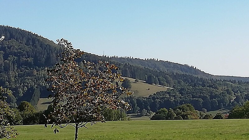 Карта