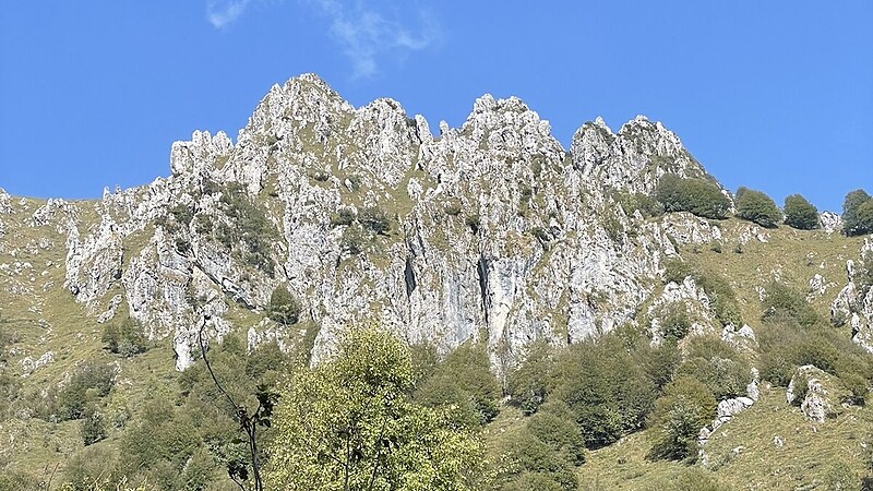 Карта