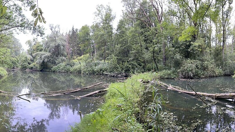 Карта