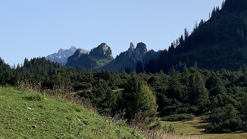 Карта