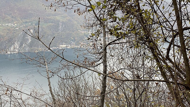 Карта