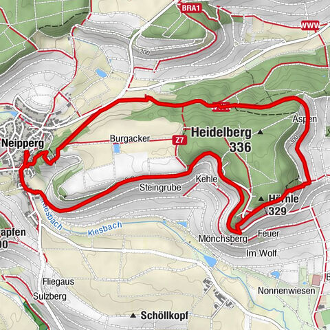 Burg Neipperg, der Heidelberg und das Hörnle