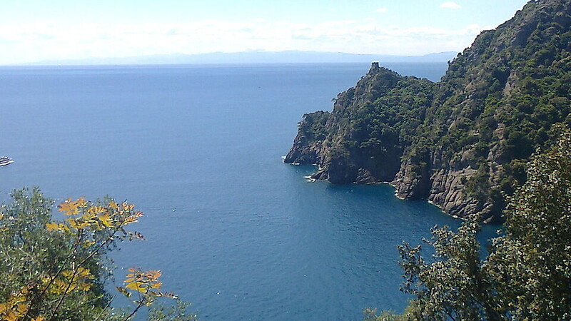 Карта