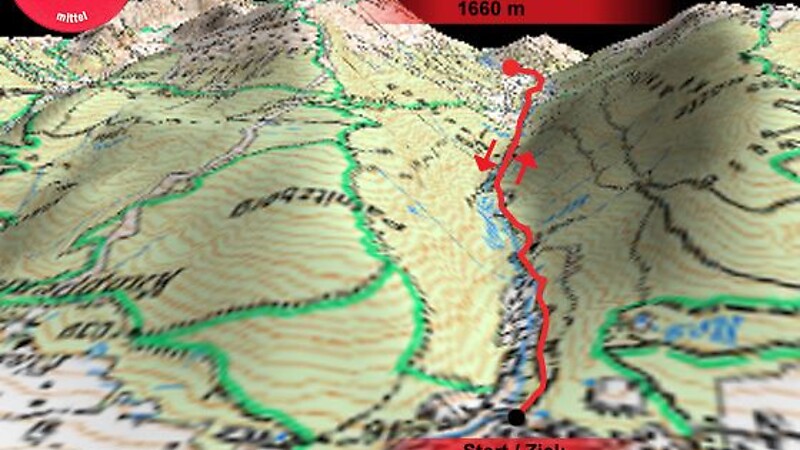Карта