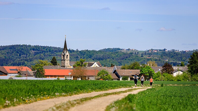 Карта