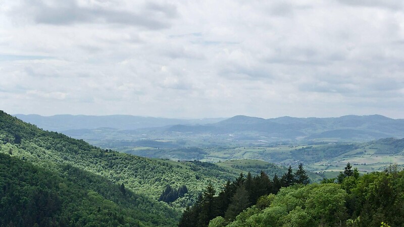 Карта