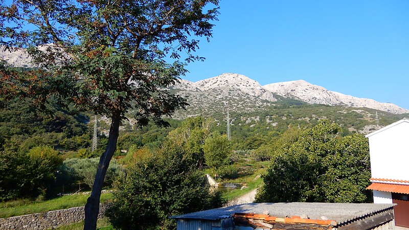 Карта