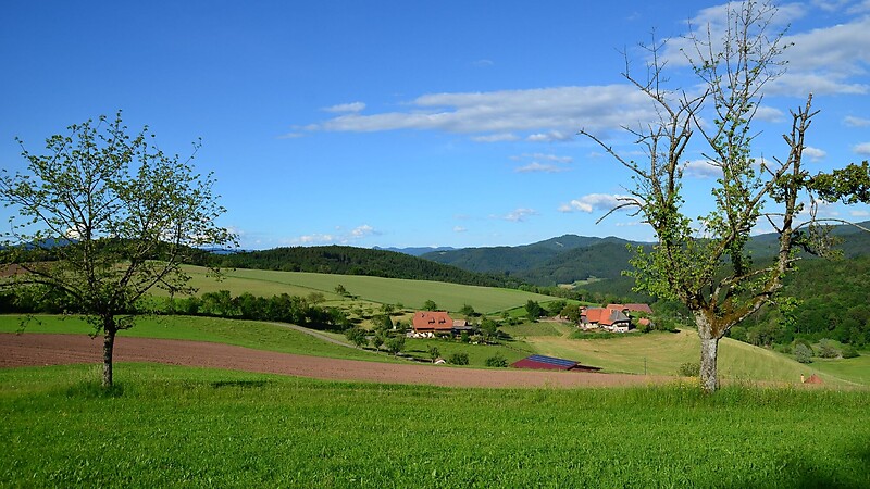 Карта