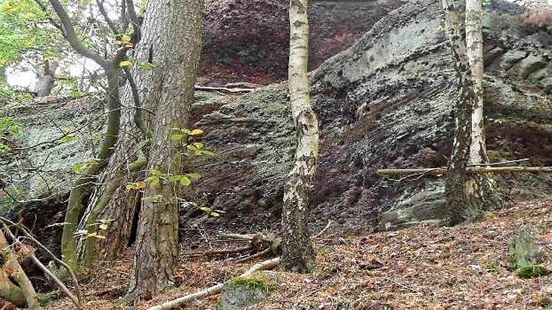 Карта