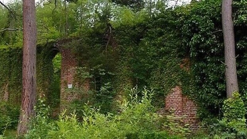 Карта