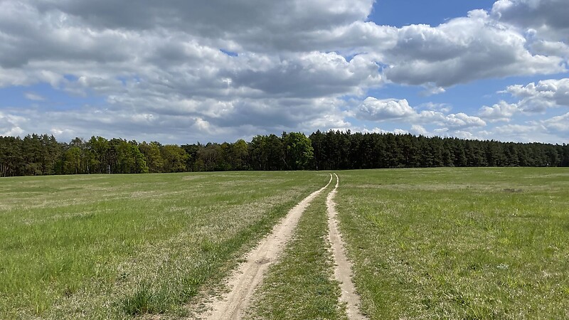 Карта