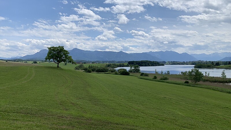 Карта