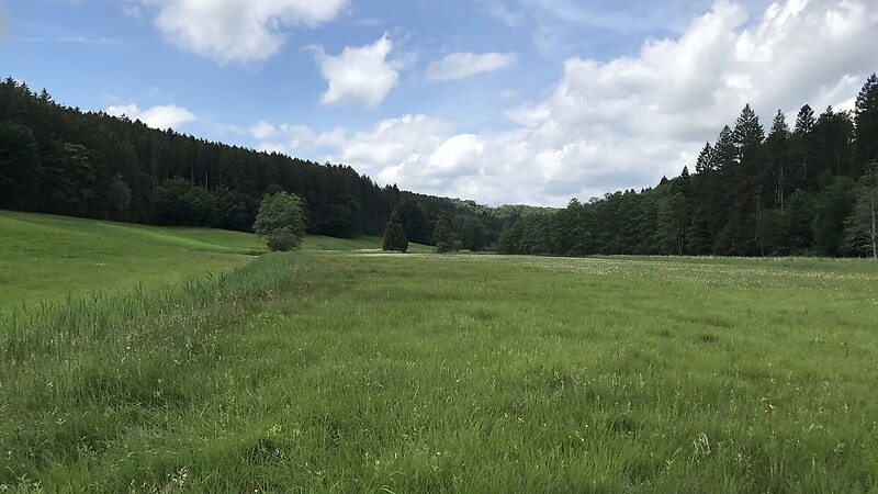 Карта
