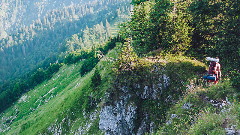 Карта