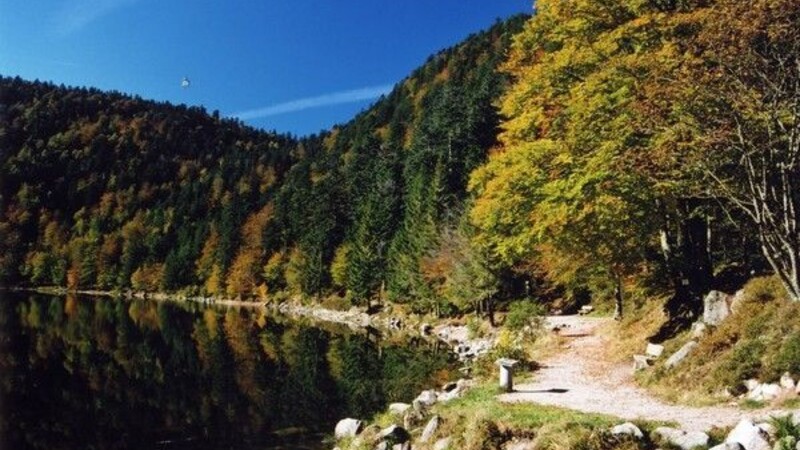 Карта