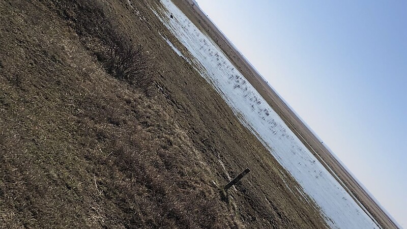 Карта