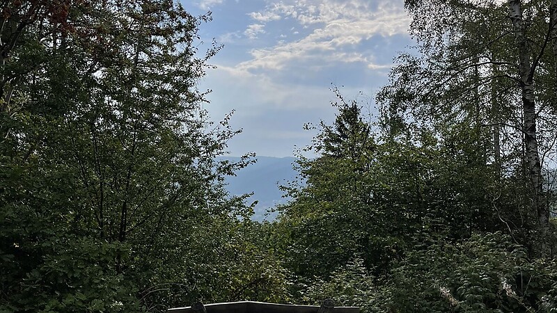 Карта