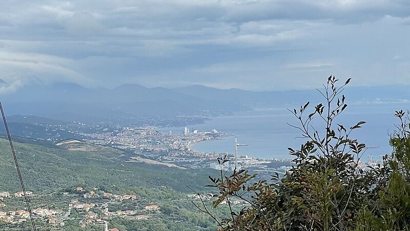 Карта