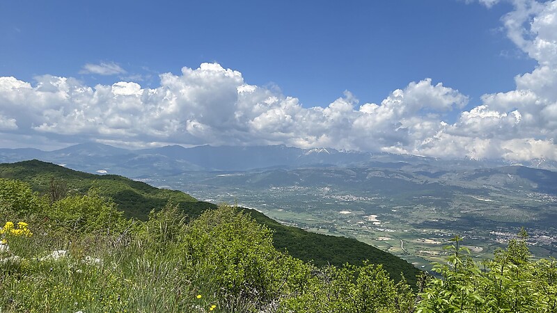 Карта