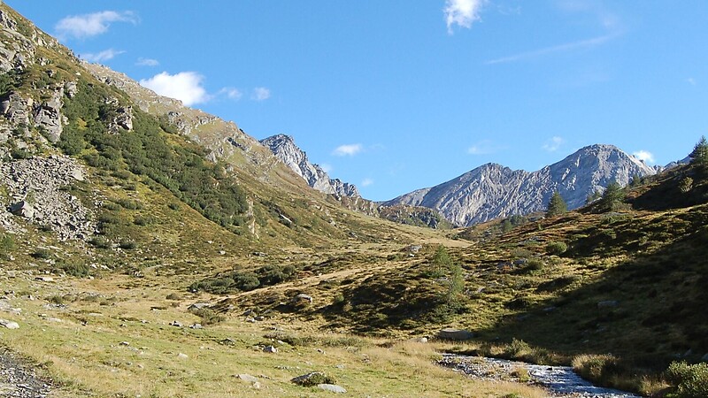 Карта