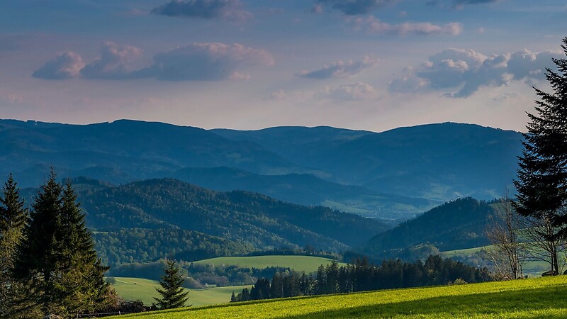 Карта