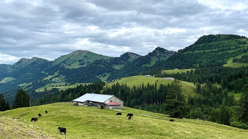 Карта