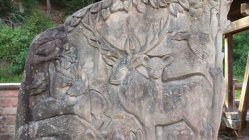 Карта