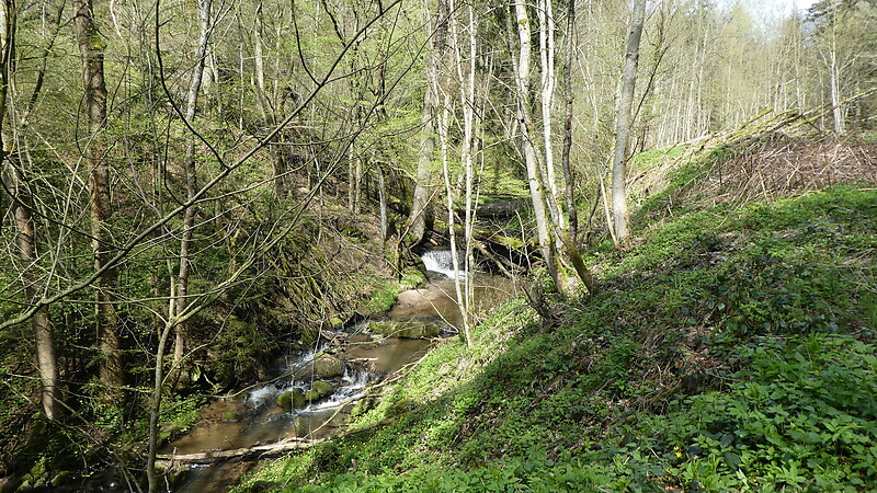 Карта