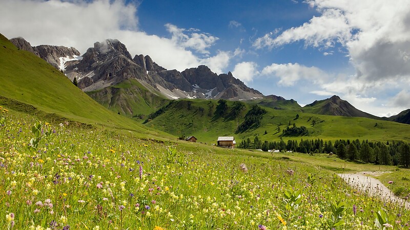 Карта