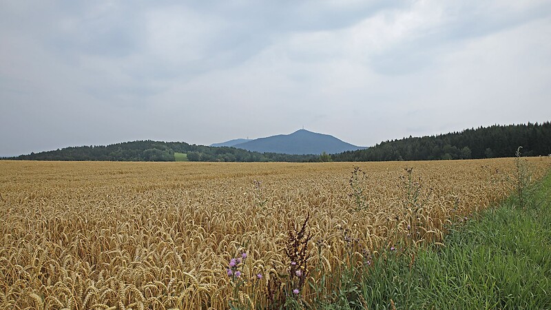 Карта