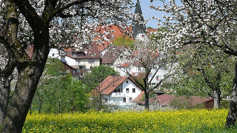 Карта