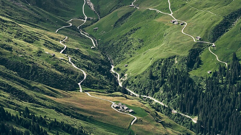 Карта