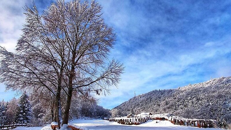 Карта