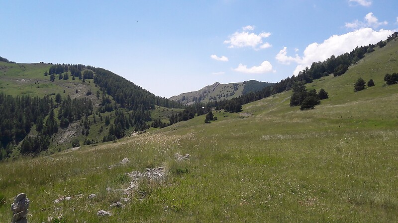 Карта