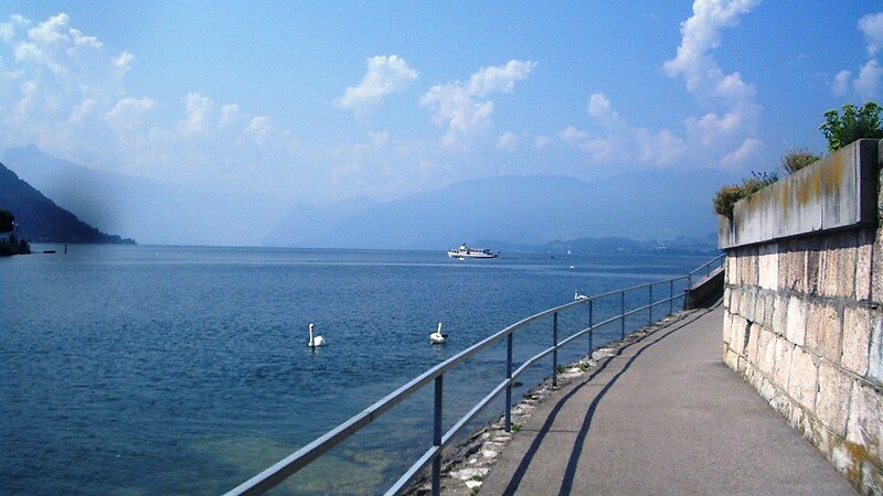 Карта