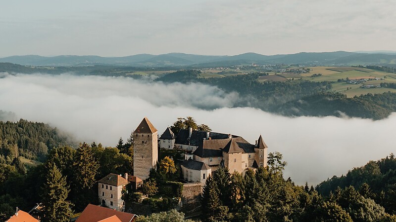 Карта