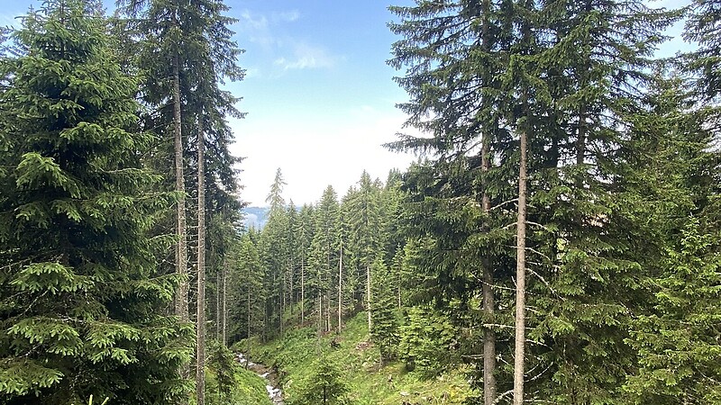 Карта
