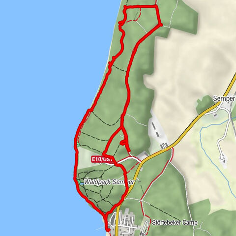 Zu Krüppelbuchen im Märchenwald