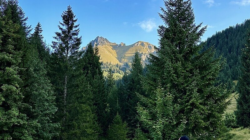 Карта