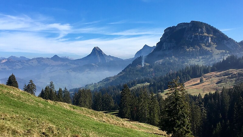Карта