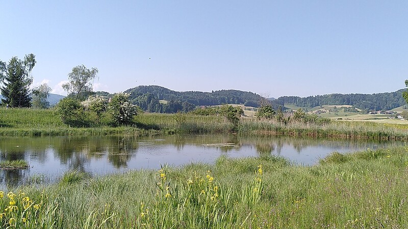 Карта